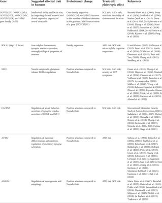 Keeping the balance: Trade-offs between human brain evolution, autism, and schizophrenia